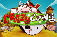 Crazy Cows